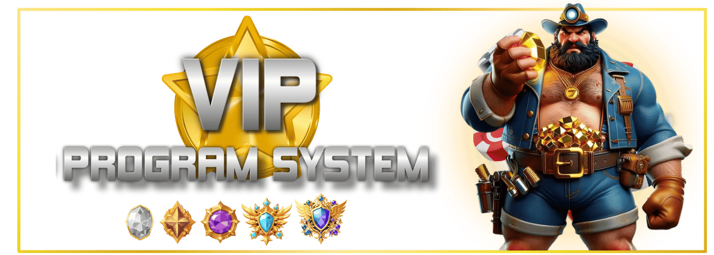 VIP Program Model Image